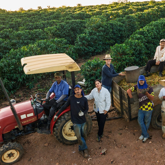 BOAS-VINDAS AO BLOG ELISA CAFÉ