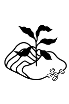 Café de origem.<br>Relações cultivadas com cuidado.