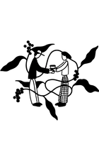 Onde o café cria vínculo.<br>Visão que conecta pessoas.