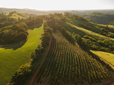 O que estamos fazendo